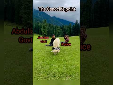 The locals need to answer #pahalgam #pahalgamattack #baisaranvalley #travel #shorts