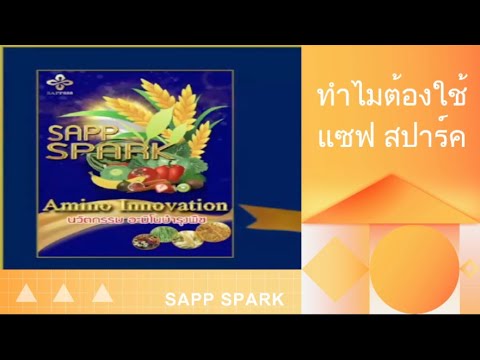แซฟ สปาร์ค ทำไมต้องใช้ SAPP SPARK อาหารพืซ จาก SAPP888
