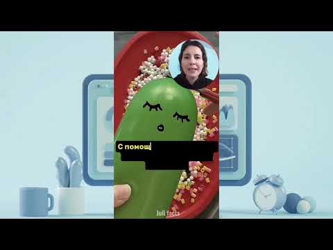 ЭТИ СЛОВА НЕЛЬЗЯ ГОВОРИТЬ SIRI