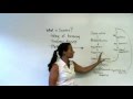 Understanding the Scientific Method