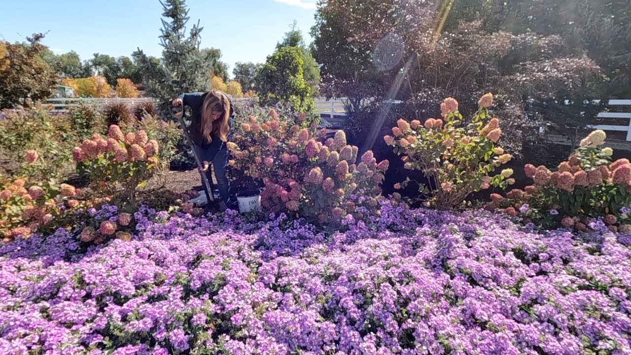 Is it Too Late in the Fall to Plant? Nope!