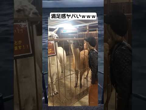 10秒の満足感ヤバすぎるwww #shorts #面白い #tiktok