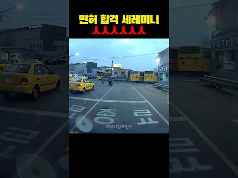 면허 합격 세레머니