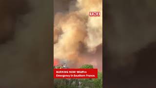 Inferno in the South: France's Largest Wildfire in 80 Years #trending #shorts #ytshorts #youtube
