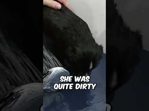 Someone Left Her in the Rain ?️??