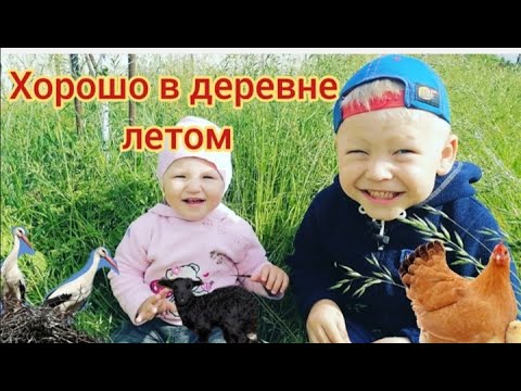 Хорошо в деревне летом. Деревенская жизнь