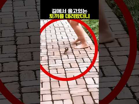 울고있는 토끼를 구조한 여자