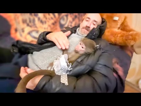 Я возвращаюсь домой и ЧТО Я ВИЖУ? Люська с Владом устроили себе ВОЛЬГОТНУЮ ЖИЗНЬ