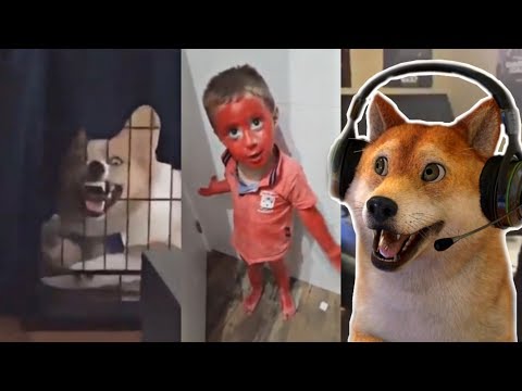 O MENINO QUE QUERIA SER O MIRANHA - TENTE NÃO RIR {VTuber}