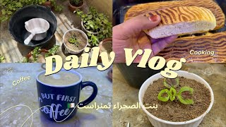 بنت الصحراء تمنراست 🇩🇿هبلتوني عليهم اليوم جاوبتكم 🫣 روتين الامهات 😊 كيف من نبته تعملي مزرعة🪴