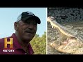 Swamp Adventures and Cultural Heritage