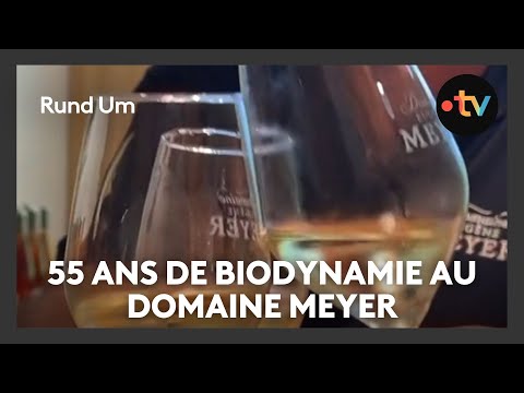 Domaine Meyer, pionnier des vins biodynamiques