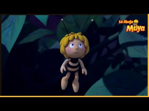 Flores nocturnas | La Abeja Maya 🐝 35' Compilación