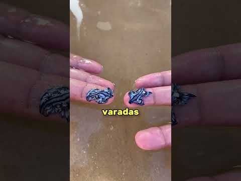 No tenía idea de que esta criatura podía matarlo 😨🌊#