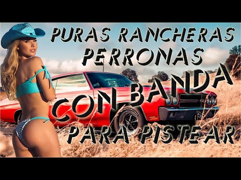 Puros Corridos Perrones: Mix de Banda y Norteños 2025