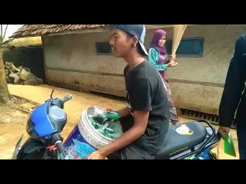 Darawet anjing dawet 10 jam