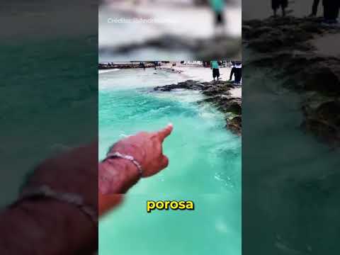 Extraño fenómeno en Cancún