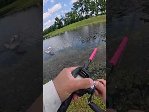 Catch of A LIFETIME At The BEST Possible Timing... (INSANE)