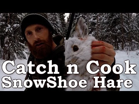 Catch and Cook Clean Snowshoe Hare! - EPIC Cooking Over Open Fire! - Survival Foods