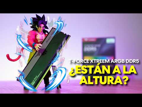 STOCK vs EXPO.. HAY DIFERENCIA? (Xtreem ARGB DDR5)