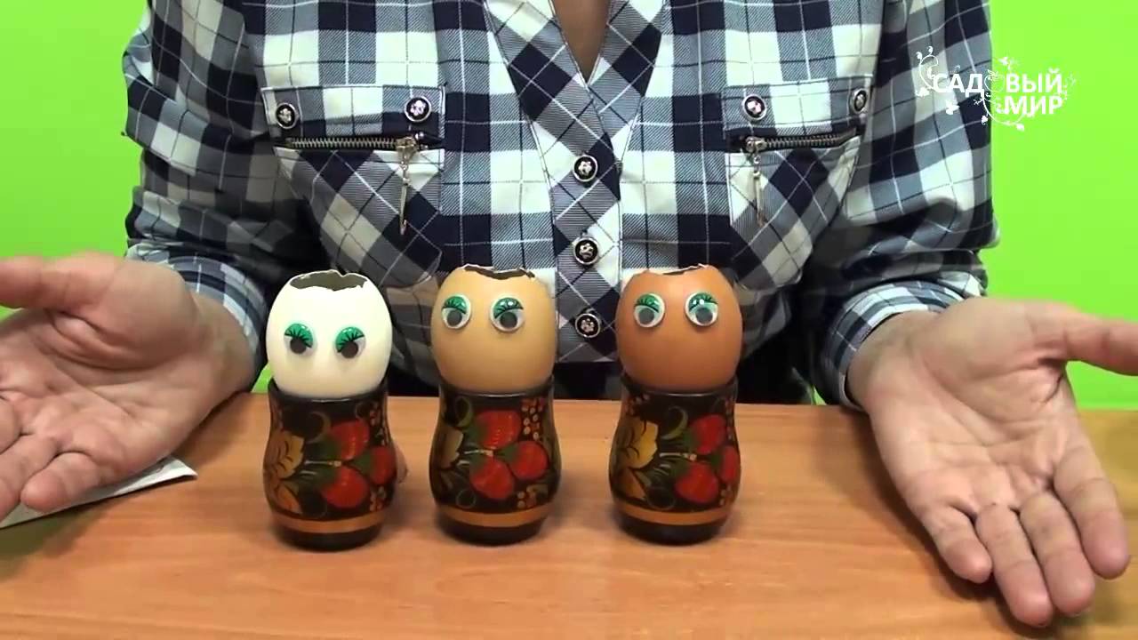 Рассада в яичной скорлупе Украшения к пасхе
