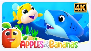 Deep Blue Sea, Educational Animation for Toddlers