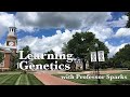 Cellular Functions and cDNA Synthesis