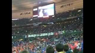 Supporters lyonnais au Stade de France
