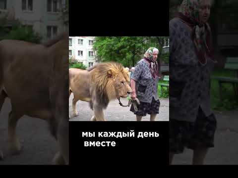 Это Муся, он со мной уже 6 лет. Я его нашла совсем маленьким, теперь мы не расстаемся