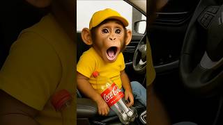 The Monkey Drank All the Coca-Cola! 😂🥤