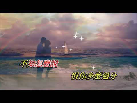 亦愛亦恨   徐小鳳〈原曲壓聲卡拉版〉