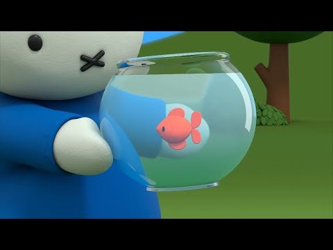 Miffy gets a goldfish! | Nijntje | Het beste van Nijntje