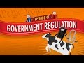Exploring Government Regulation and Economic Policy