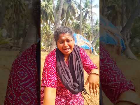 God Shiva&durga is everywhere #godshiva#shiv#harharmahadev#shorts