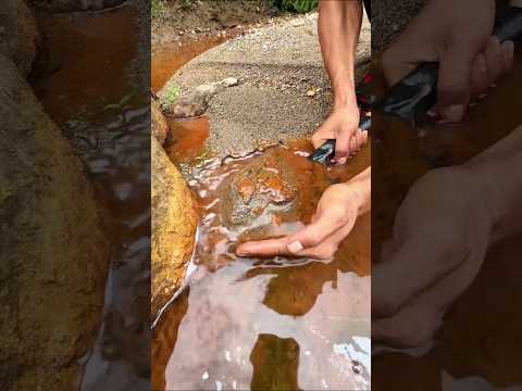 Oro Encontrado En Esta Agua Marrón 😱