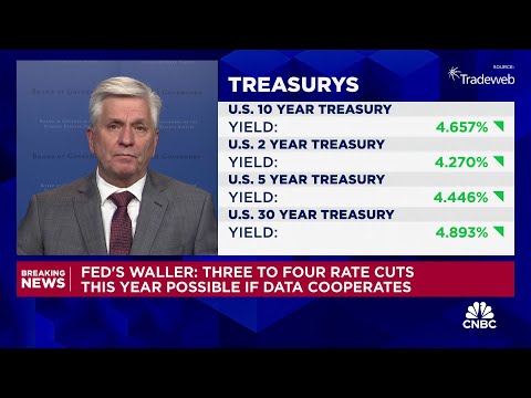 Fed's Waller: Rates could fall in the first half of the year if data stays on trend