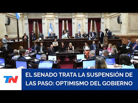 El Senado trata la suspensión de las PASO: el Gobierno confía en aprobarla con apoyo de dialoguistas