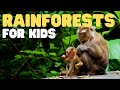 Rainforest Ecosystem Knowledge Assessment