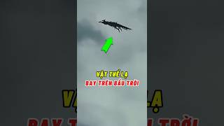 VẬT THỂ LẠ BAY TRÊN BẦU TRỜI 😱 #shorts