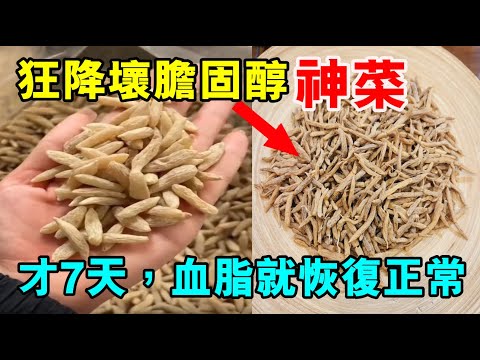 狂降壞膽固醇「神菜」！才吃7天，血脂就恢復正常！