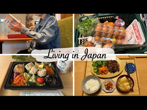 cozy day in my life | morning teatime, healthy lunch box, Miso grilled pork for dinner