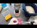 Enzyme Function and Thermocycler Use