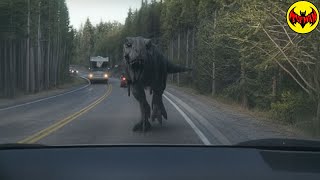 The Most Disturbing Footage Ever Captured