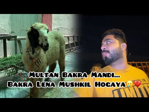 Bakra Mandi Main Bakra Laina Mushkil Hogaya 🥲| Ft Chand Raat😍🌙