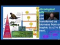 Ecosystem Energy and Soil Dynamics