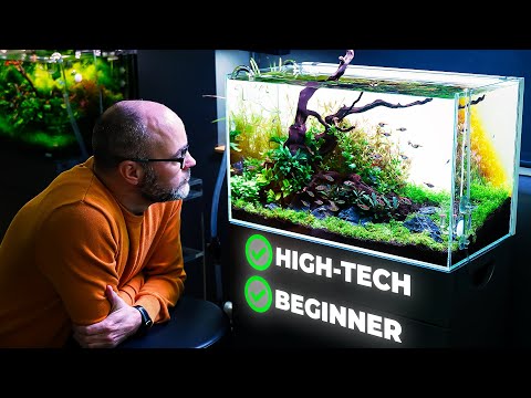 Beginner’s Guide to Creating an Amazing High-Tech Aquarium