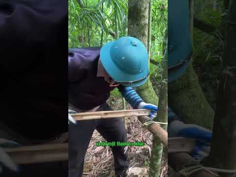 Cách tạo lửa thủ công cực kì đơn giản mà lại rất hữu ích của người vùng cao