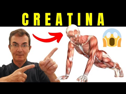 CREATINA os EFEITOS REAIS no CEREBRO e MASSA MUSCULAR