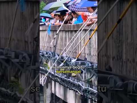 ada apa? #amazing #viralvideo #video