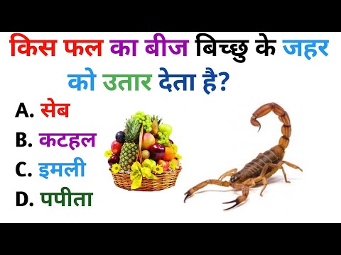 Gk Questions || GK in Hindi || Gk Questions And Answers || Gk Quiz || General knowledge